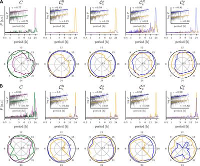Time in Brain: How Biological Rhythms Impact on EEG Signals and on EEG-Derived Brain Networks
